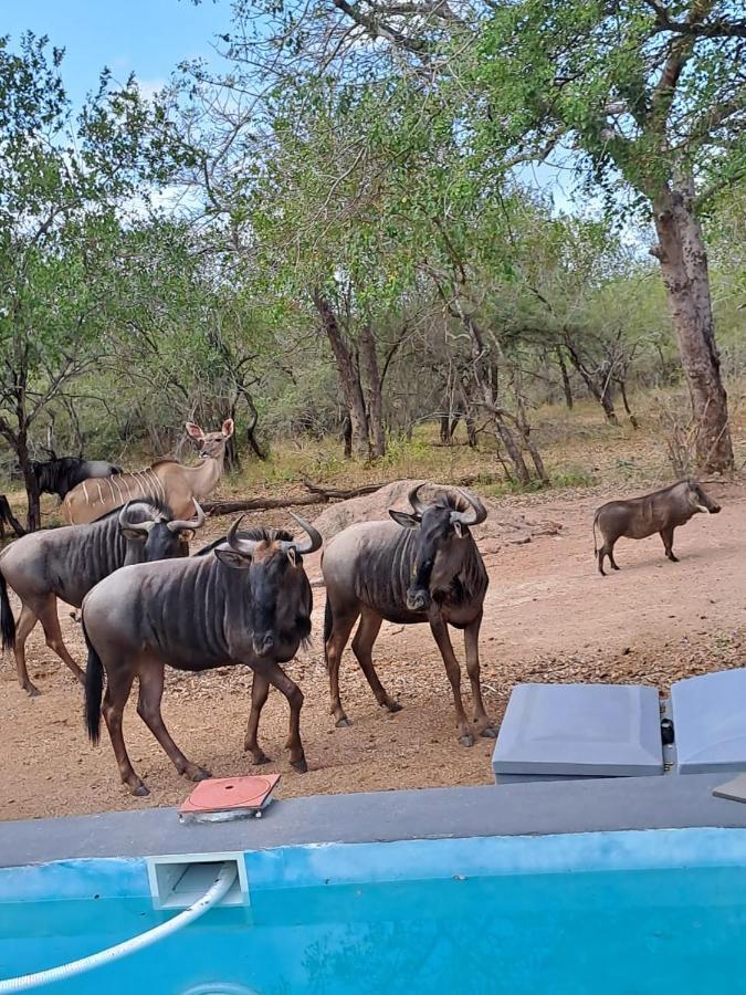Nanisto Bush Lodge Marloth Park Exterior foto